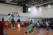 VOLEYBOL TAKIMI - Cizre Belediyesi Voleybolda Başarıdan Başarıya Koşuyor