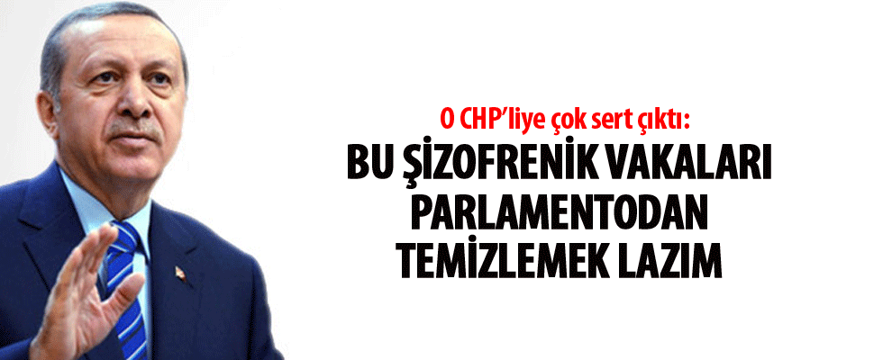 Erdoğan: Bu şizofrenik vakaları parlamentodan temizlemek lazım