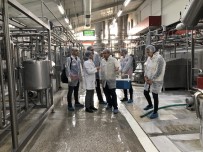 AHMET YAVUZ - İstanbul'da Süt Ve Süt Ürünleri İşletmelerine Denetim