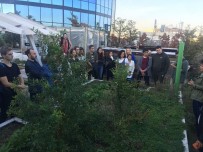 AKMERKEZ - Kentsel Tarım İçin Akmerkez Ve Özyeğin Üniversitesi Gastronomi Öğrencileri Kolları Sıvadı