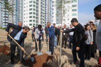 OKUL MÜDÜRÜ - Mezitli Belediyesi'nin Koruluk Sayısı 53'E Yükseldi