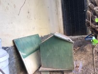 KÖPEK - (Özel) Ataşehir'de Lüks Sitede Kedi Evi Tartışması