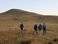 Yılkı Atlarını Korumak İçin Belgesel Çekiyorlar
