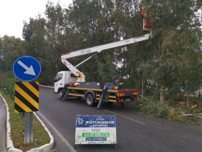 Aydın Kışa Hazırlanıyor