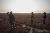 ORMAN BAKANLIĞI - Bursa'da Kaçak Avcılara Operasyon