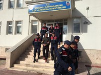 İTİRAF - Büyükbaş Hayvanı Çalan Hırsızlar Serbest Bırakıldı