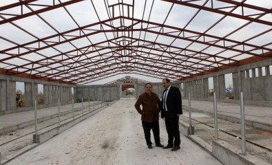 Erzincan'da 500 Başlık Düve Üretim Merkezi İnşaatı Hızla Devam Ediyor