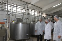 Erzincan'da 'Denetim Seferberliği' Gıda Kontrolleri Başladı