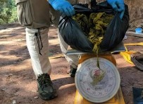 GREENPEACE - Geyiğin Midesinden 7 Kilogram Çöp Çıktı