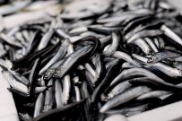 AVCILIK - Giresunlu Balıkçılardan 'Av Yasağı Eylül'de Değil Ekim'de Kalksın' Önerisi