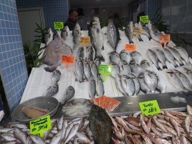Marmara Denizinde Yakalanan Kılıç Balığı Altın Fiyatına Satıldı
