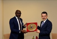 İSLAM İŞBİRLİĞİ TEŞKİLATI - Bakan Pakdemirli İSEDAK 35. Bakanlar Toplantısı'nda Konuştu