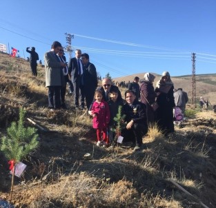Bayburt'ta Yıl İçinde Doğan Her Bebek İçin Bir Fidan Dikildi
