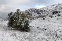 YAĞAN - Bayburt Ve Erzincan'ın Yüksek Kesimleri Beyaza Büründü