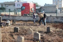 ÇANAKKALE SAVAŞı - Kilis'te Ecdadın Yattığı Tarihi Mezarlıkların Bakım Ve Onarımına Başlandı