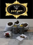 Kütahya'da 15 Kilo Esrar Ele Geçirildi