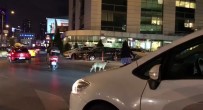 KADIN SÜRÜCÜ - (Özel) Kadın Sürücü Trafiği Durdurup, Yaya Geçidinde Bekleyen Köpeği Yolun Karşısına Geçirdi