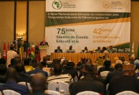 MUSTAFA ŞENTOP - TBMM Başkanı Şentop, 42. Afrika Parlamenterler Birliği Konferası'nda Konuştu