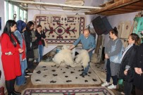 MİLLİ EĞİTİM BAKANLIĞI - Ustalar Kursiyerlerle Buluşuyor