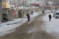 YAĞAN - Van'da Kar Yağışı Çevreyi Beyaza Bürüdü