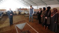 GENEL SAĞLIK SİGORTASI - Çobanlık Akademisi İlgi Görüyor
