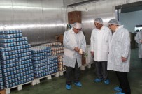 ET ÜRÜNLERİ - Isparta'da 7 Bin 950 'Risk Esaslı Denetim' Yapıldı