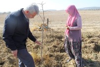 GÜNEYKENT - Isparta'da 'Kadın' Odaklı 'Hünnap' Eğitimi