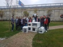 KÖPEK - Öğrencilerden Örnek Davranış