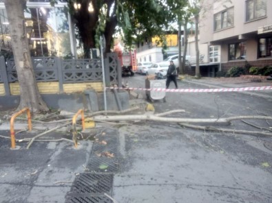 Şişli'de Aşırı Rüzgardan Kırılan Ağaç Dalı, Restoran Çatısına Düştü