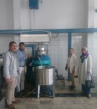 Zeytinyağı Fiyatları Tavan Yapma Tehlikesinde