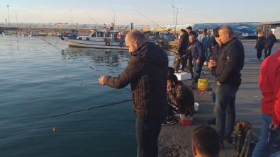 Akçakoca Sahili Olta Balıkçılarının Gözde Mekanı Haline Geldi