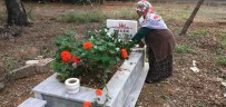 DIKILITAŞ - Antalya'da Mezarlıktaki Kabrin Kazılıp Etrafına Kenevir Ekildiği İddiası