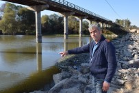 FABRIKA - Bursa'da Balık Ölümleri Devam Ediyor