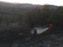 Ormanlık Alanda Çıkan Yangın Söndürüldü Haberi