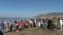 Türkiye'nin En Uzun Kumsalında Öğrenciler Çöp Topladı