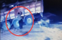 ONDOKUZ MAYıS ÜNIVERSITESI - Üzerine Kamyondan Tomruk Düşen Şoför Hayatını Kaybetti
