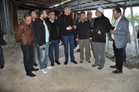 ÇAĞATAY HALIM - Vali Toraman Mozaikli Evde İncelemelerde Bulundu