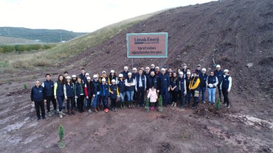 Limak'ın Yeşil Dönüşüm Ormanları Şimdi De Bursa'da Kök Salacak