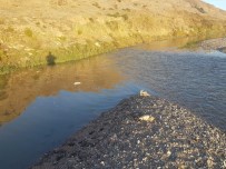 TAVUK ÇİFTLİĞİ - Dicle Nehri'ne Hayvan Pisliği Atan Şahıslar Hakkında Yasal İşlem Başlatıldı