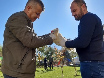 Hakkari'de Evcil Hayvanlar Sağlık Kontrolünden Geçirildi