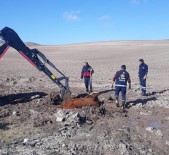 İŞ MAKİNESİ - Özalp'ta İnek Kurtarma Operasyonu