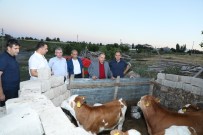 HAYVANCILIK - Talas'tan Çiftçiye Eğitim Desteği