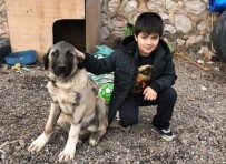 KÜÇÜK ÇOCUK - Top Oynarken Fenalaşan 7 Yaşındaki Çocuk Hayatını Kaybetti