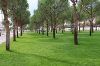 Yunusemre'den 2 Mahallede Çimlendirme Çalışması