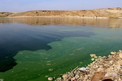 Atatürk Barajı'nda Korkutan Görüntü