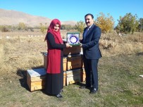 UMUTLU - Başkan Süer'den Türkiye Birincisi Kadın Çiftçiye Plaket