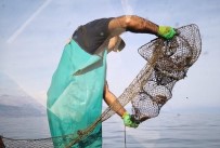 EĞIRDIR GÖLÜ - Eğirdir Gölü'nde Ele Geçirilen 150 Kerevit Pinterine El Konuldu