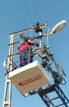 Elektrik Tellerine Takılan Karga'yı İtfaiye Ekipleri Kurtardı