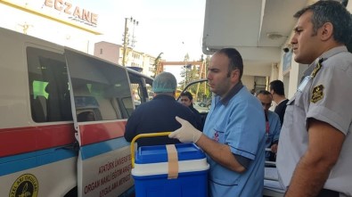 Engelli Gencin Organları 3 Kişiye Umut Oldu