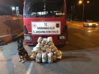Kahramanmaraş'ta Uyuşturucu Operasyonu Haberi